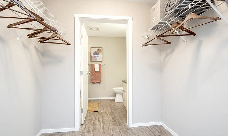 Pet-Friendly One Bed...