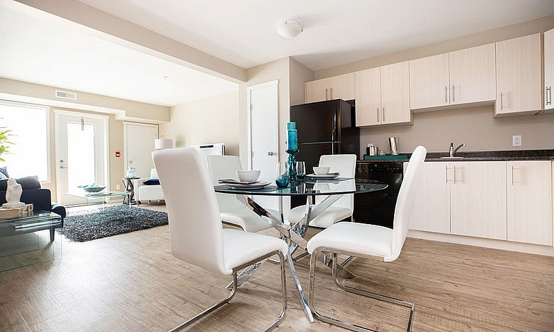 Pet-Friendly Three B...
