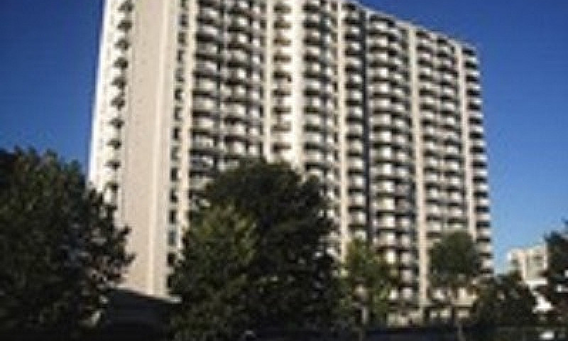 1147 Quadra St. (Dow...