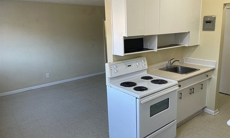 506 Balmoral - 1 Br ...