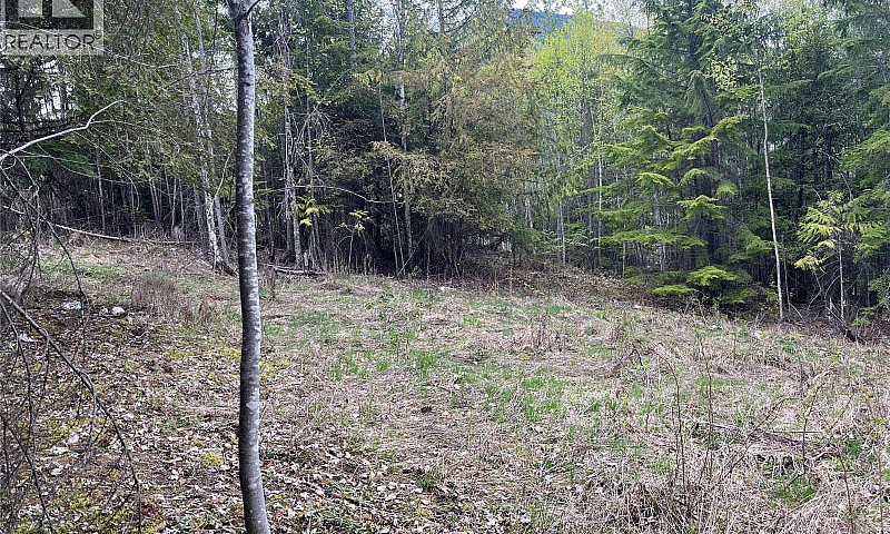 Lot 2 Balfour Avenue...