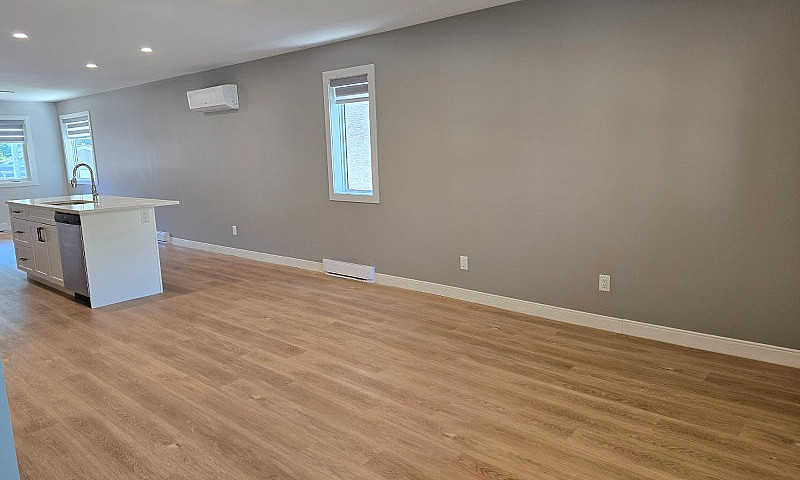 Main + Lower Floor D...