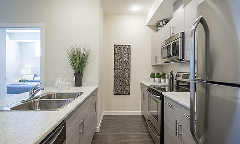 Bachelor Suites For ...