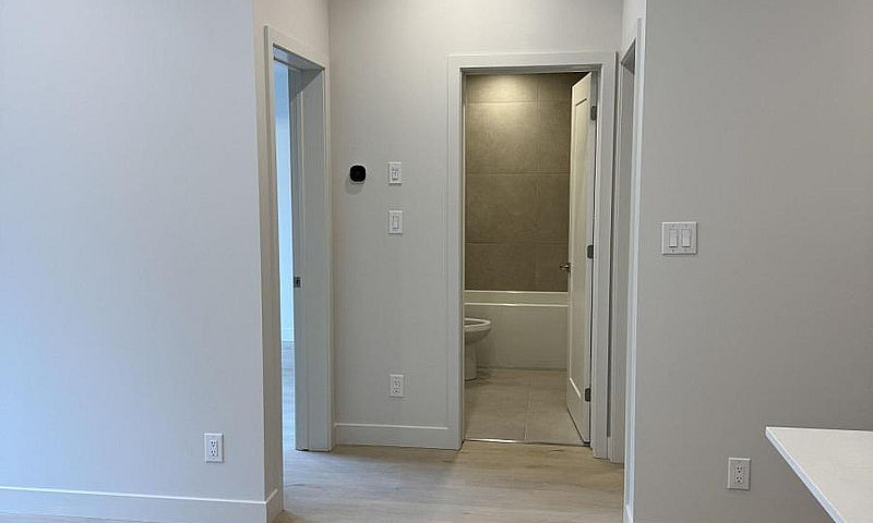 4 - 1301 Dorchester ...