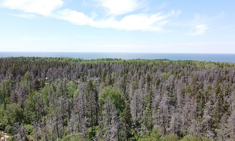 Stunning 1.09Acre Pr...