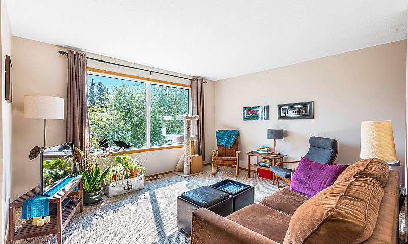 Open House | Sun | J...