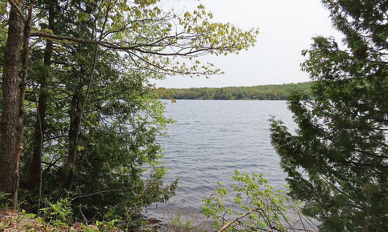 Prince Lake Lot...
