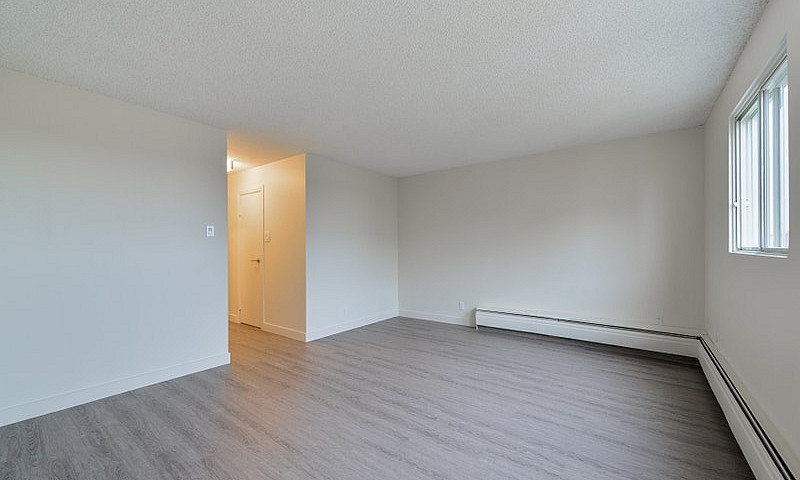 1 Bedroom - 2421 104...