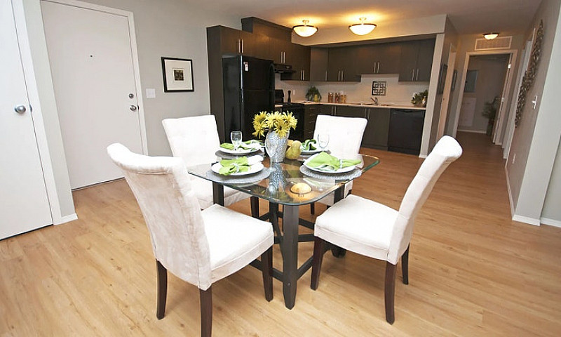 Pet-Friendly Three B...