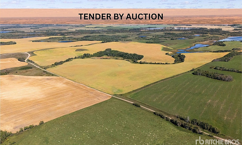 Farmland-North Battl...