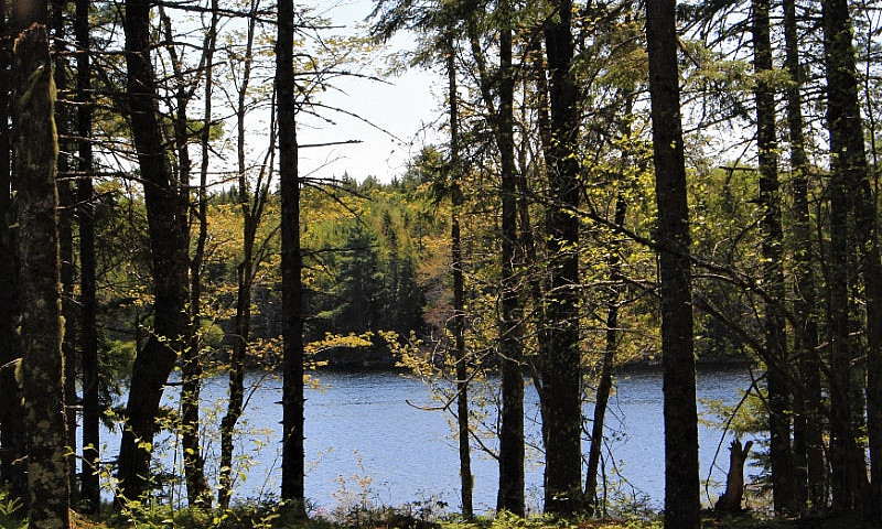 Lewie Lake - 10 Min ...