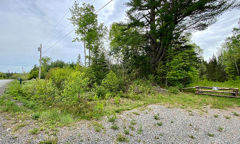 Beautiful 5 Acre Lot...