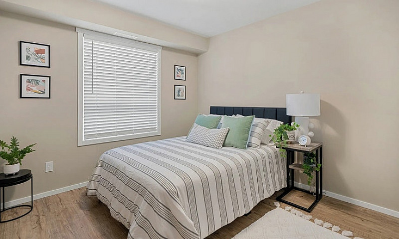 Pet-Friendly Two Bed...