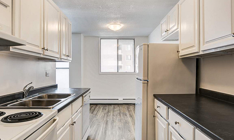 2 Bed In Edmonton | ...