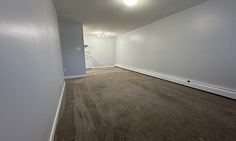2 Weeks Free Renovat...