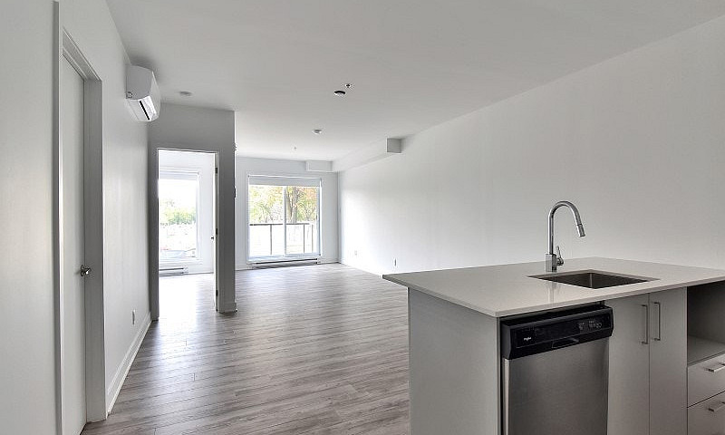 1 Chambre Condo Appa...