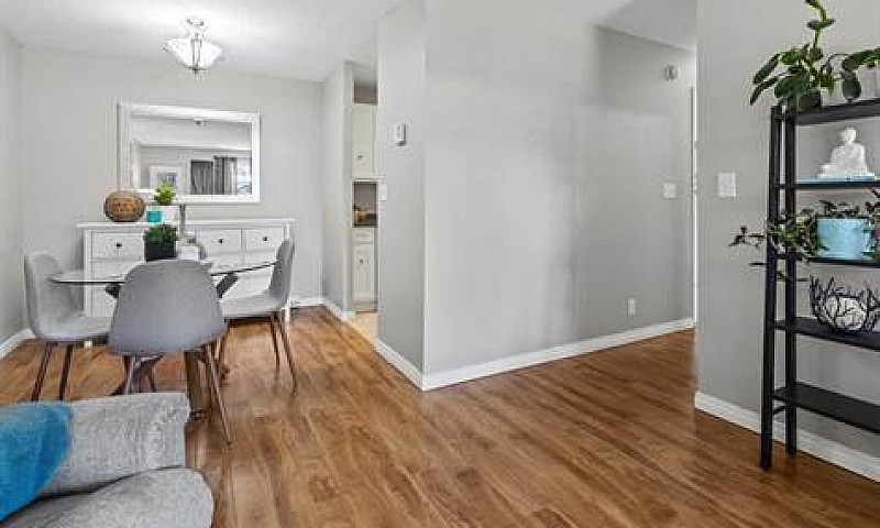 Condos For Sale In C...