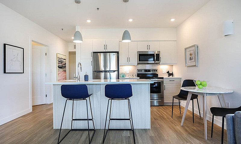 Modern 1 Br Suite In...