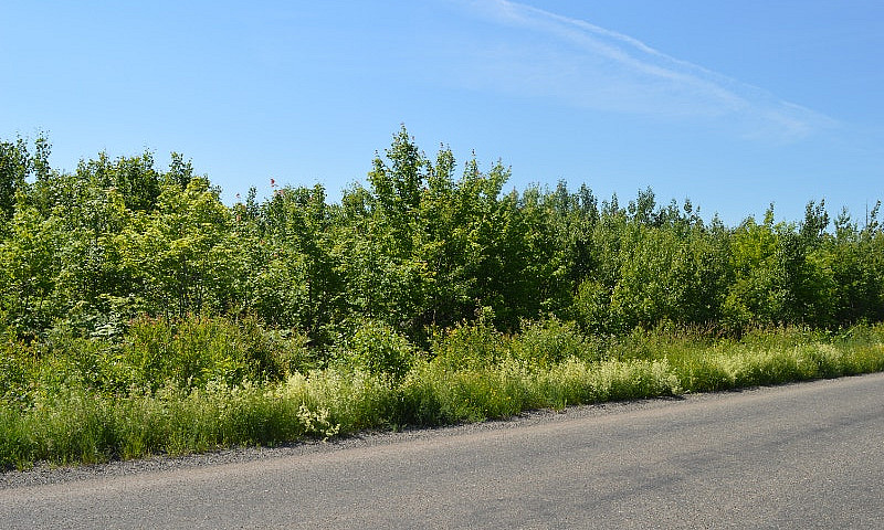 Lot 5 Middlesex Rd -...