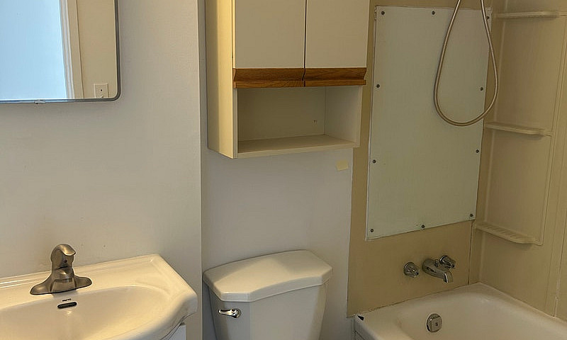 Pet-Friendly Apartme...