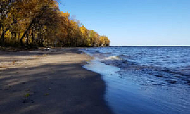 Buffalo Point On Lak...