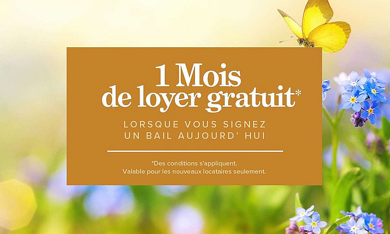 1 Bdrm À Louer Au 1 ...