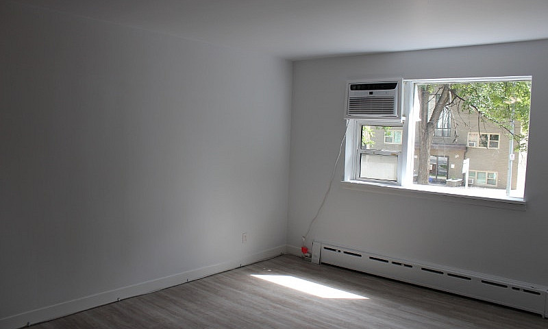 Renovated Bachelor A...