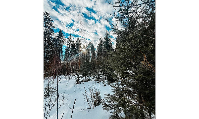 5724 Timothy Lake Ro...