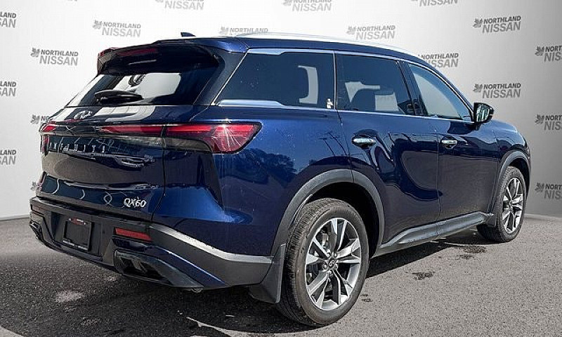2025 Infiniti Qx60 L...