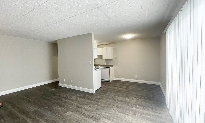 1 Bedroom Apartment ...
