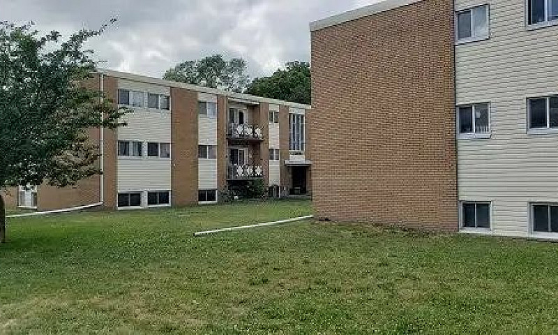 Newly Renovated 1 Be...