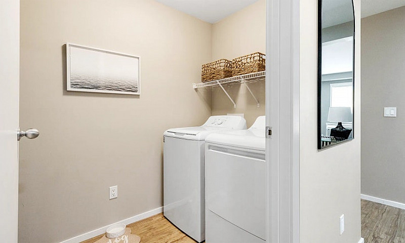Pet-Friendly One Bed...