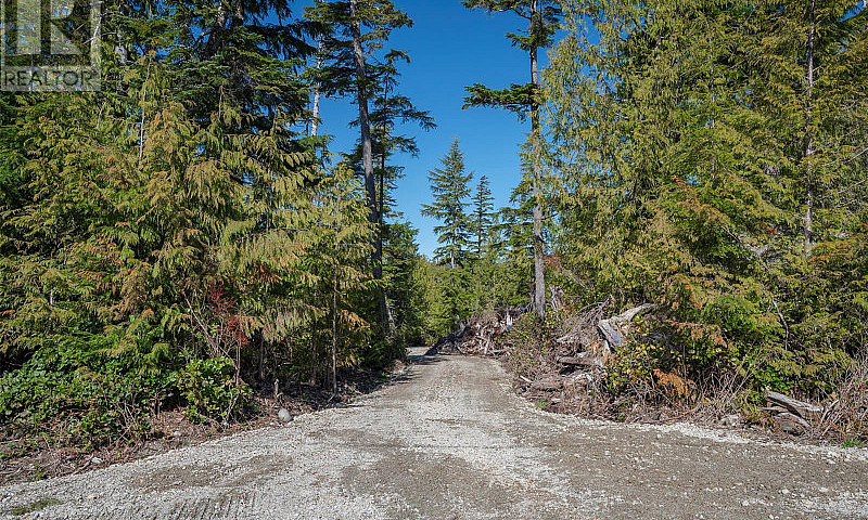 Lot 9 South Bamfield...