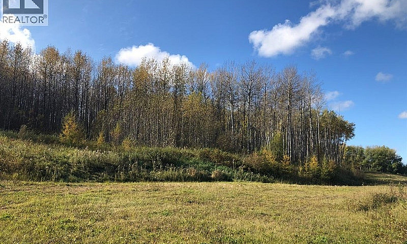 111, 16326 Twp Rd 67...