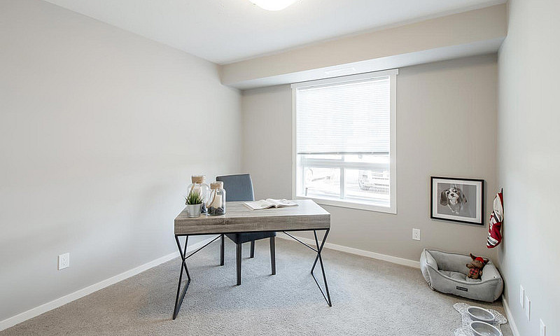 Pet-Friendly One Bed...