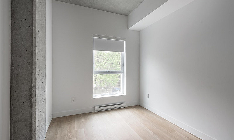 1 Bedroom Apartment ...