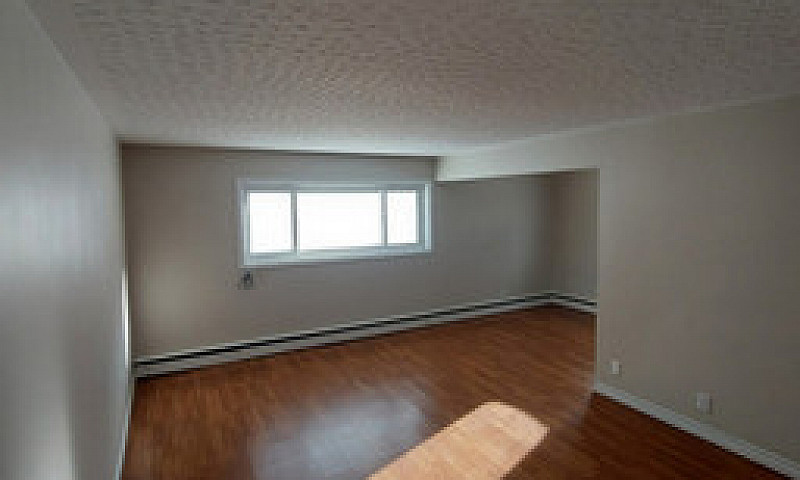 1 Bedroom Apartment ...