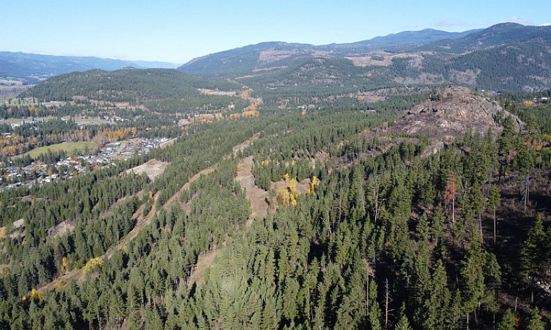 Dl 1570 Dixon Creek ...