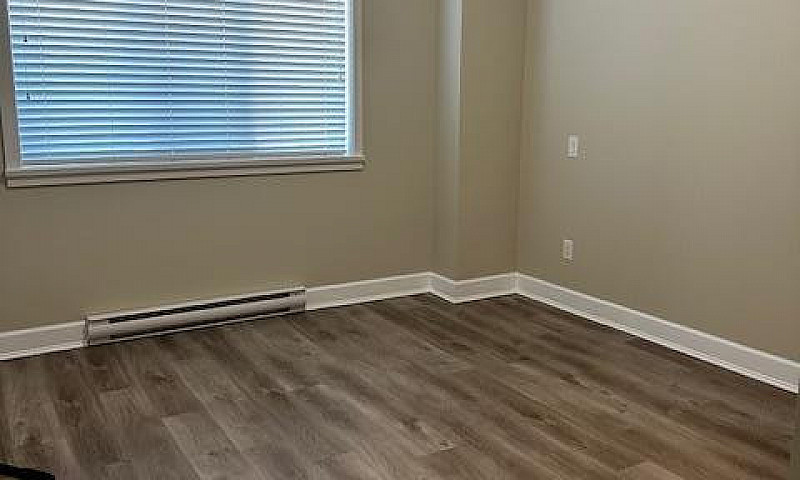 2799 Clapperton Aven...