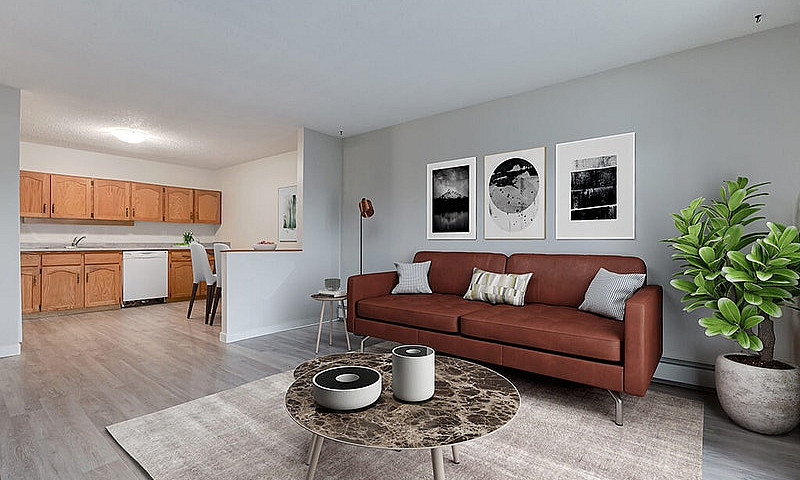 Modern Apartments Wi...