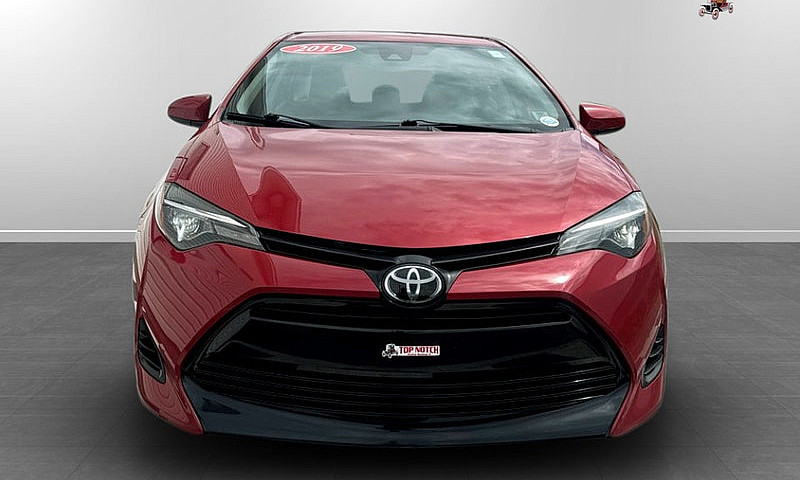 2019 Toyota Corolla ...