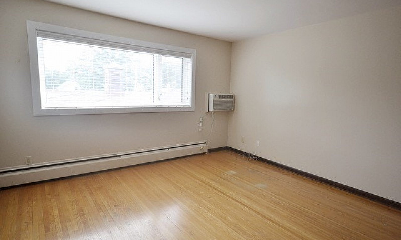 Large 1 Bedroom In T...