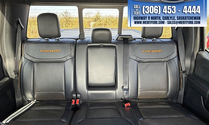 2023 Ford F-150 Trem...