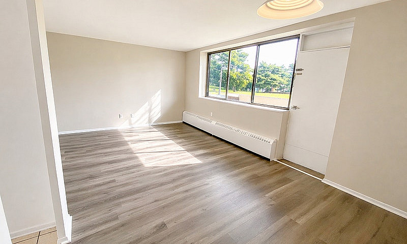 1 Bedroom Apartment ...