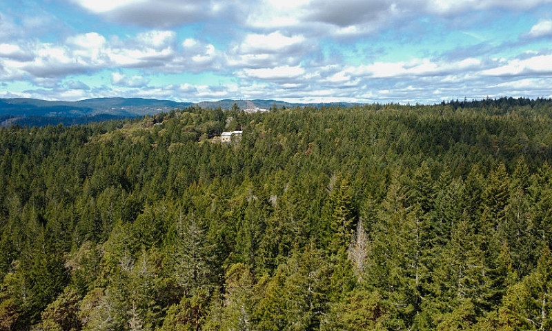 Elevated Acreage Wit...