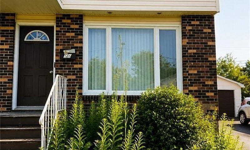 66 Whitney Avenue Mo...