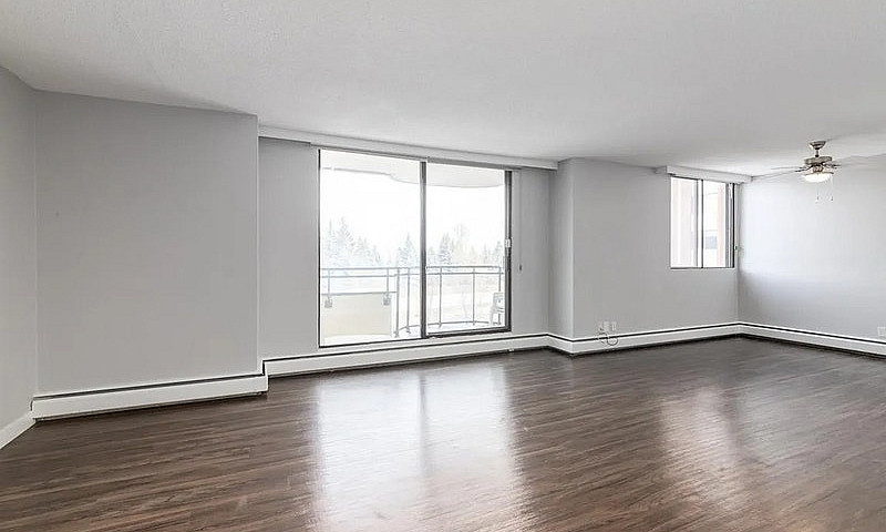 Modern Apartments Ov...