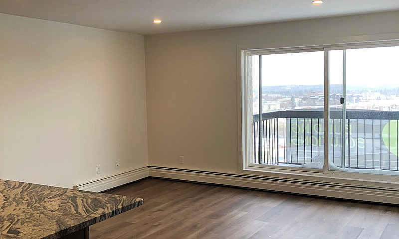 Newly Renovated Unit...