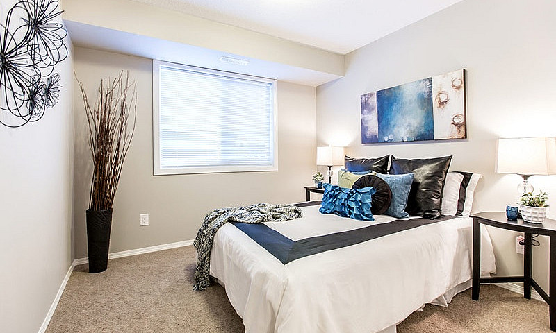 Pet-Friendly One Bed...