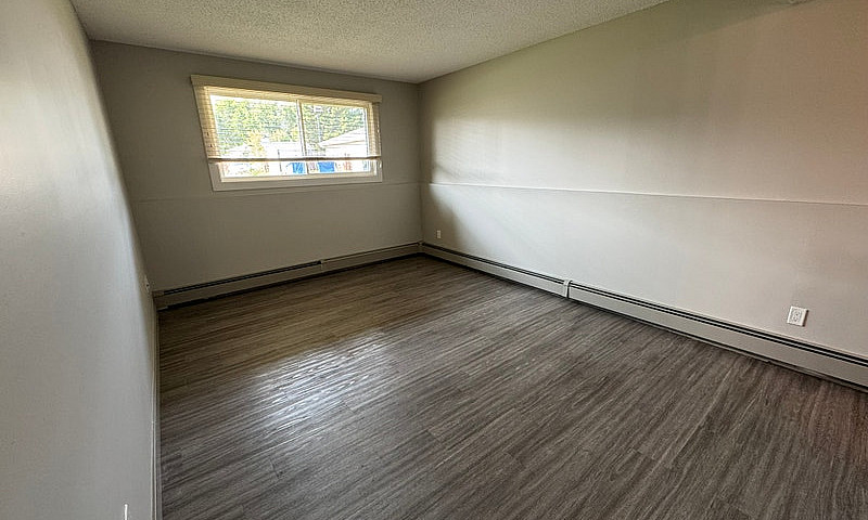Cozy, Pet-Friendly G...